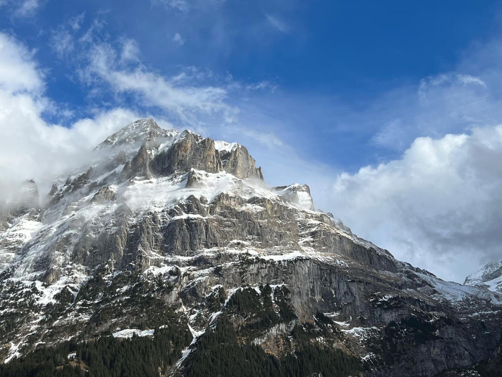 Silberhorn Διαμέρισμα Γκρίντελβαλντ Εξωτερικό φωτογραφία