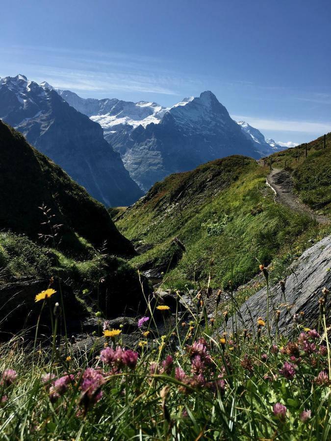 Silberhorn Διαμέρισμα Γκρίντελβαλντ Εξωτερικό φωτογραφία