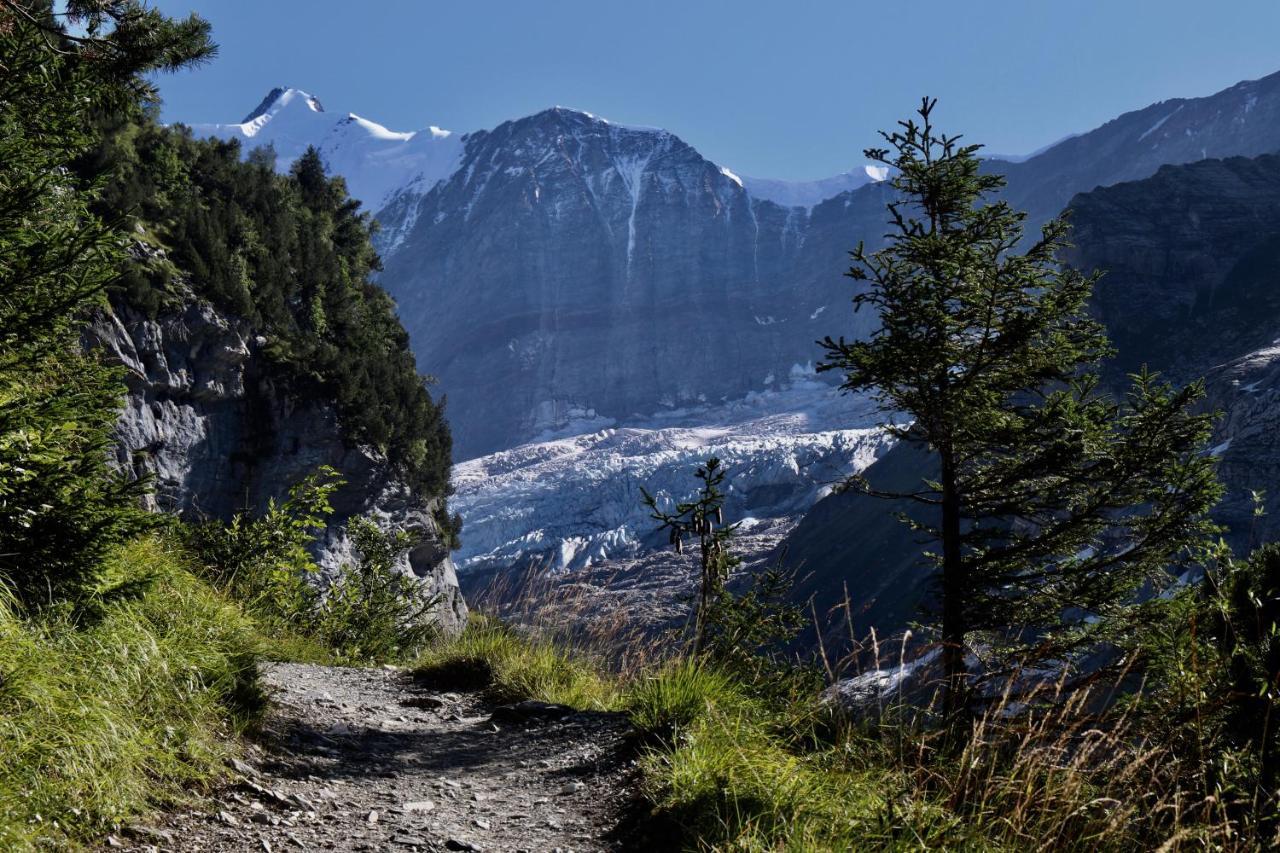 Silberhorn Διαμέρισμα Γκρίντελβαλντ Εξωτερικό φωτογραφία