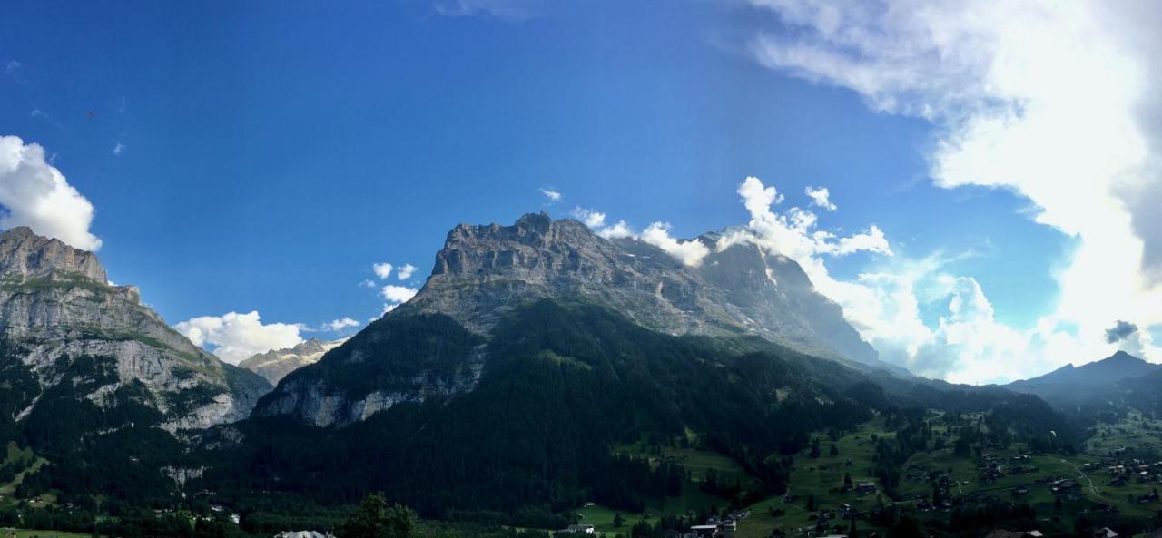 Silberhorn Διαμέρισμα Γκρίντελβαλντ Εξωτερικό φωτογραφία