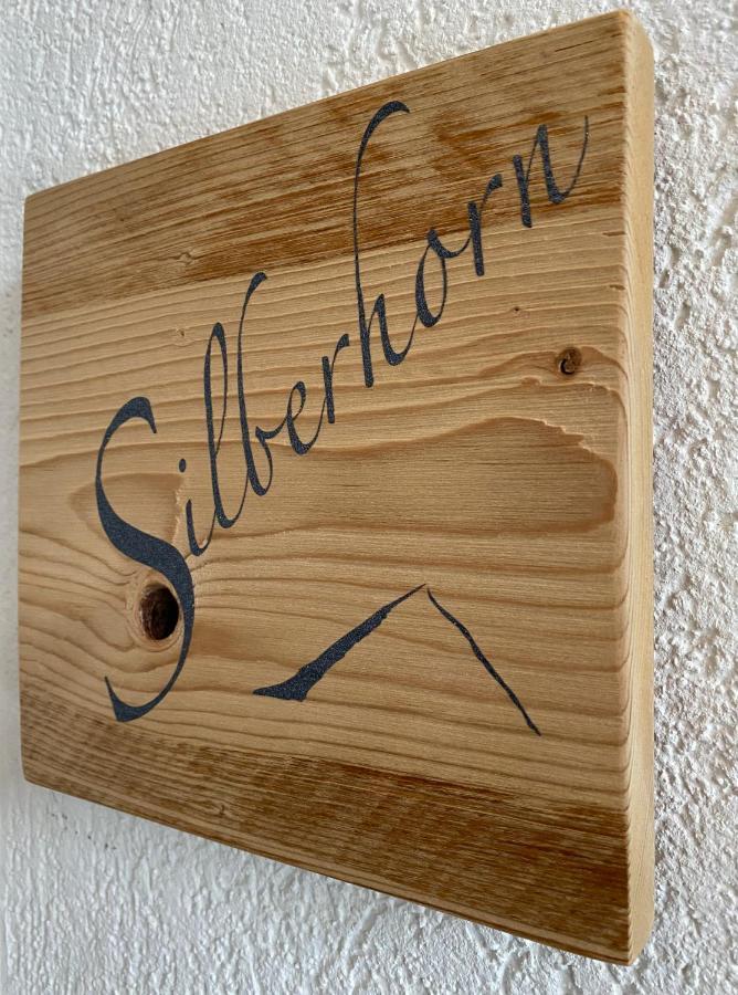 Silberhorn Διαμέρισμα Γκρίντελβαλντ Εξωτερικό φωτογραφία